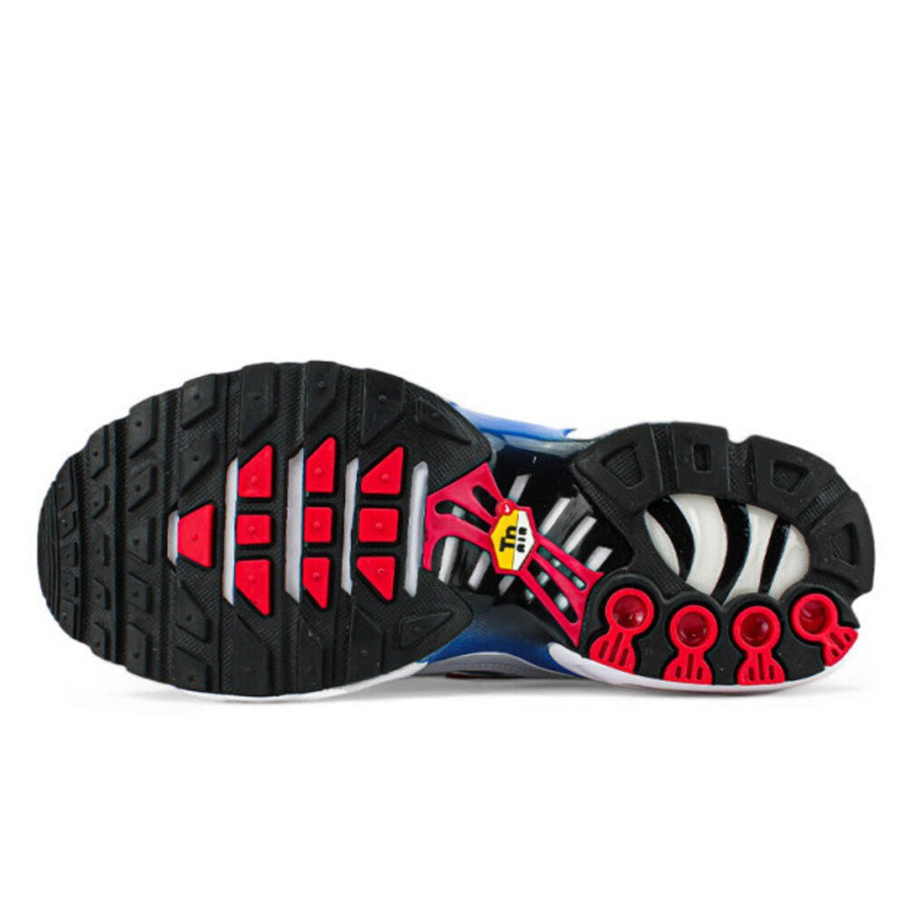 Nike Air Max Plus TN Euro Tour