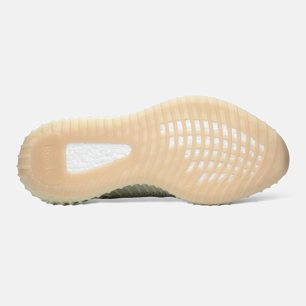 Adidas Yeezy Boost 350 V2 Antlia 