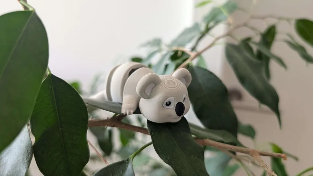 Miniş Koala