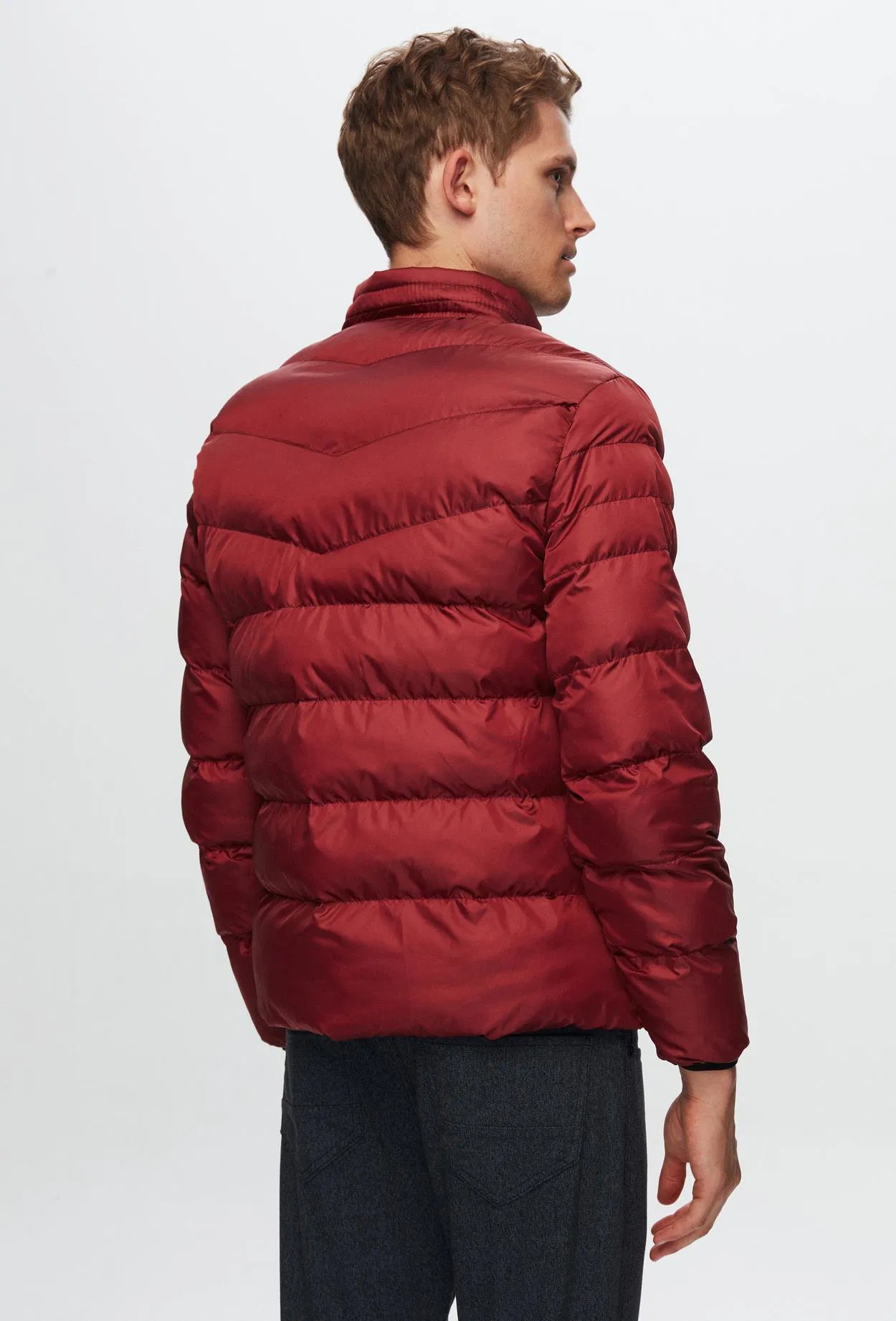 Mont - v2
