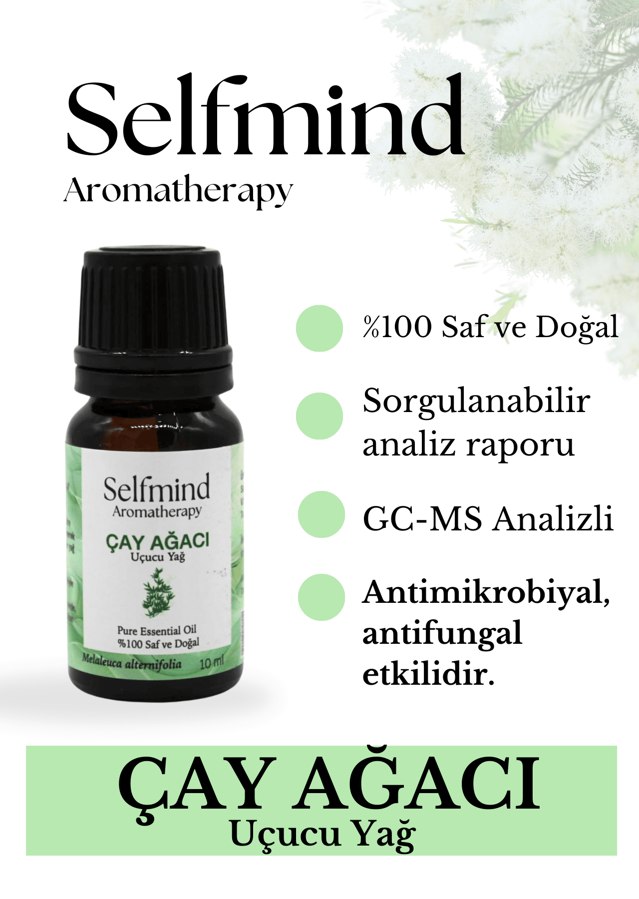 Çay Ağacı Uçucu Yağı (Melaleuca alternifolia) 