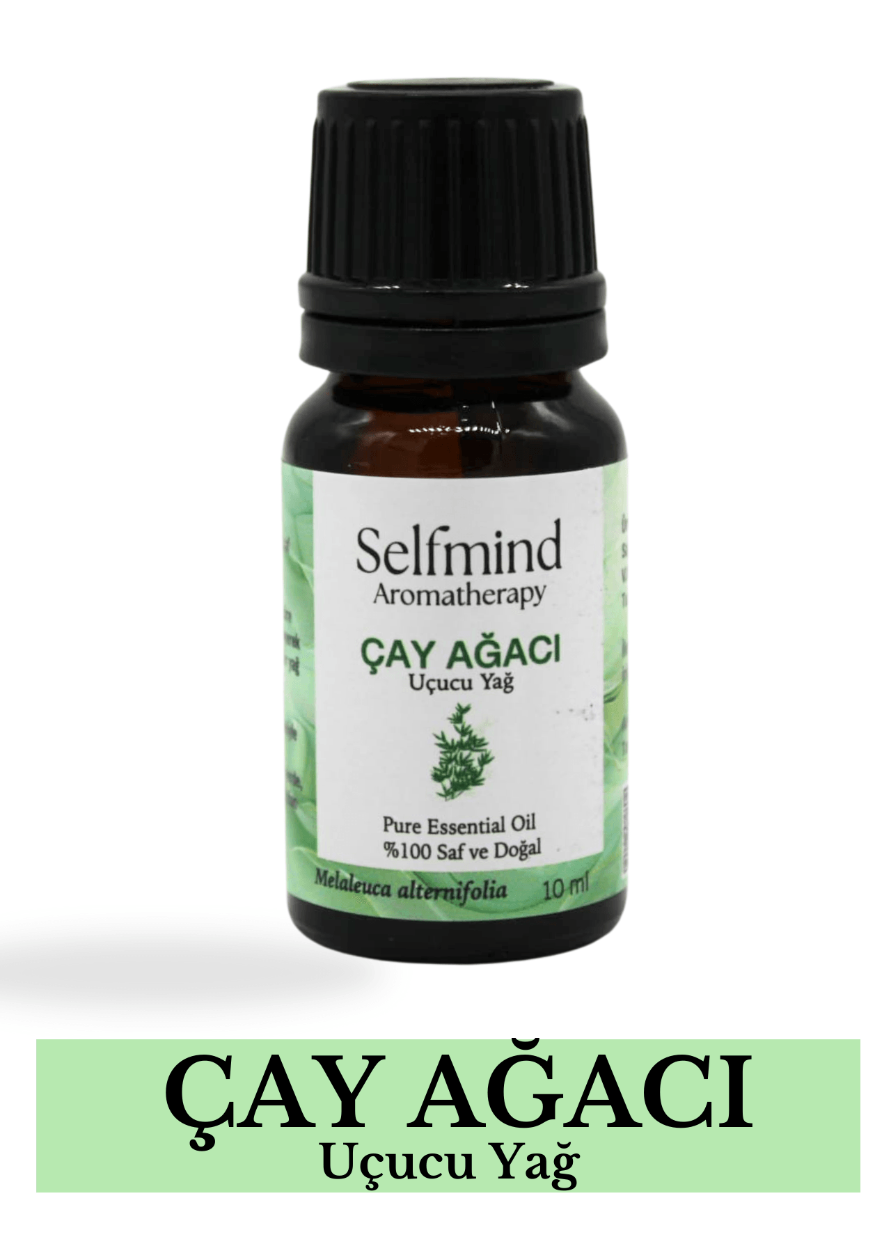 Çay Ağacı Uçucu Yağı (Melaleuca alternifolia) 