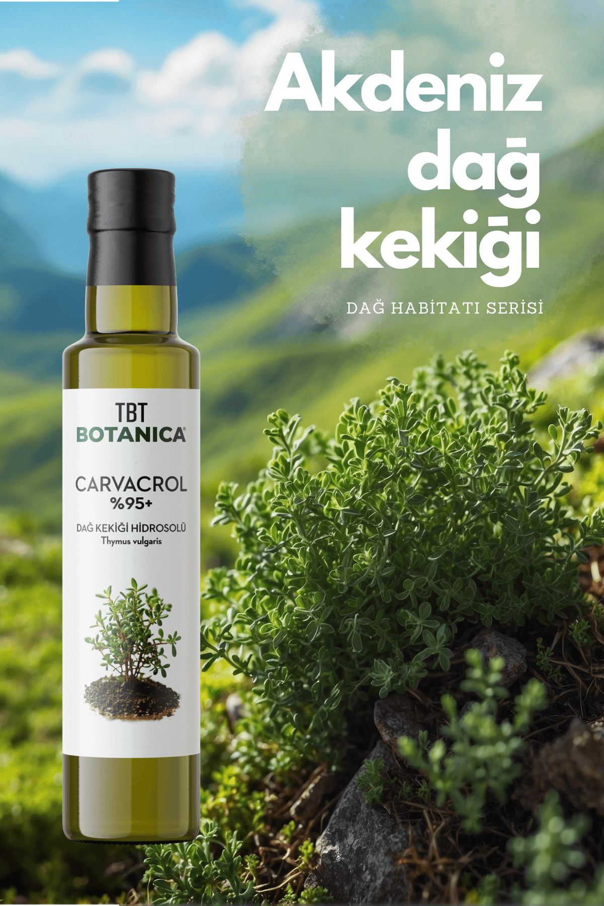 TBT Botanica %100 Saf Kekik Hidrosolü: Akdeniz'in Mucizevi Dokunuşu | 250 Ml