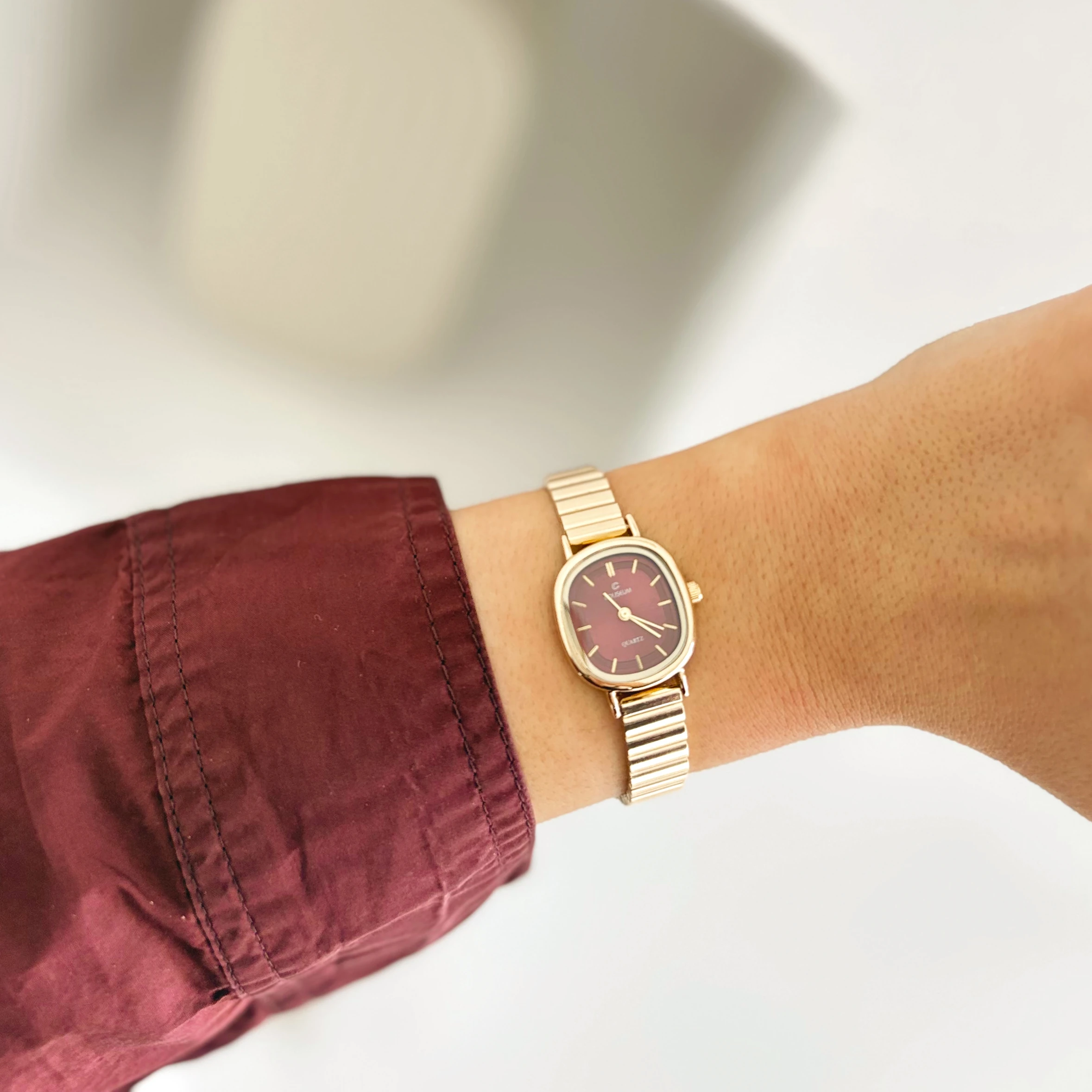 Bastian Gold-Red Watch | Saat