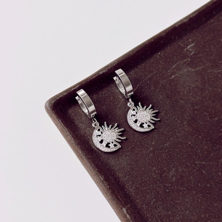 Sun Grey Steel Earring | Çelik Küpe
