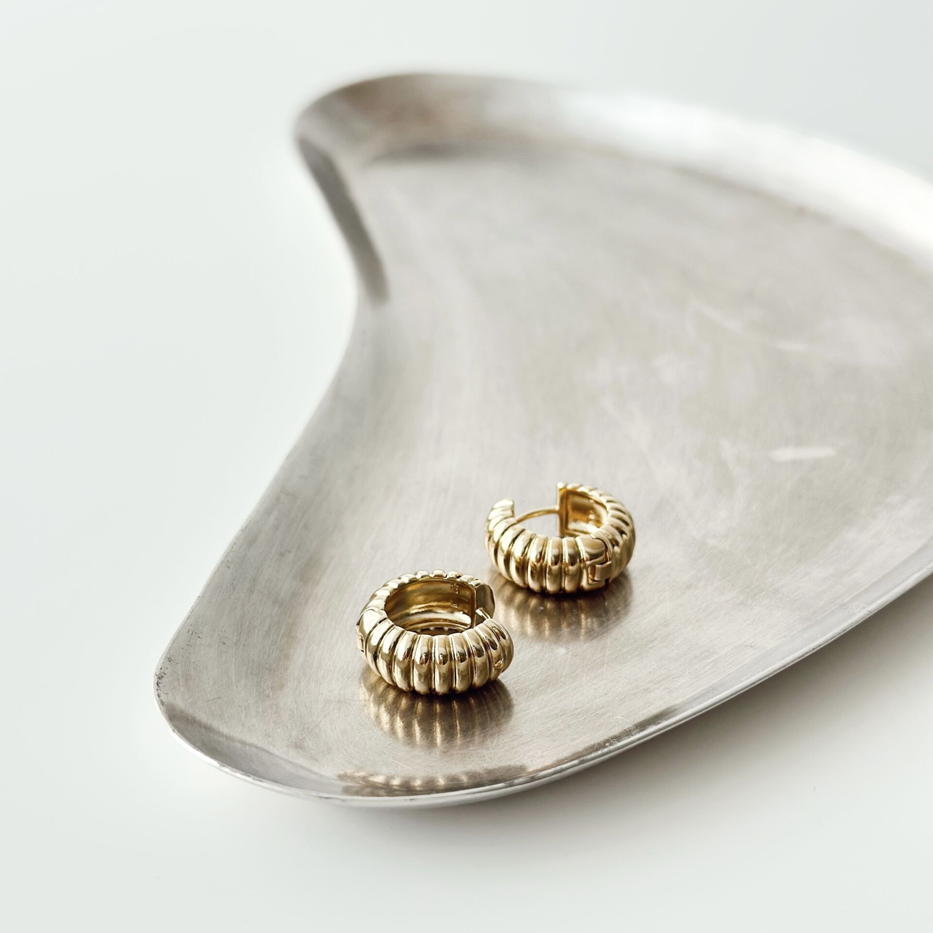 Viol Steel Earring | Çelik Küpe