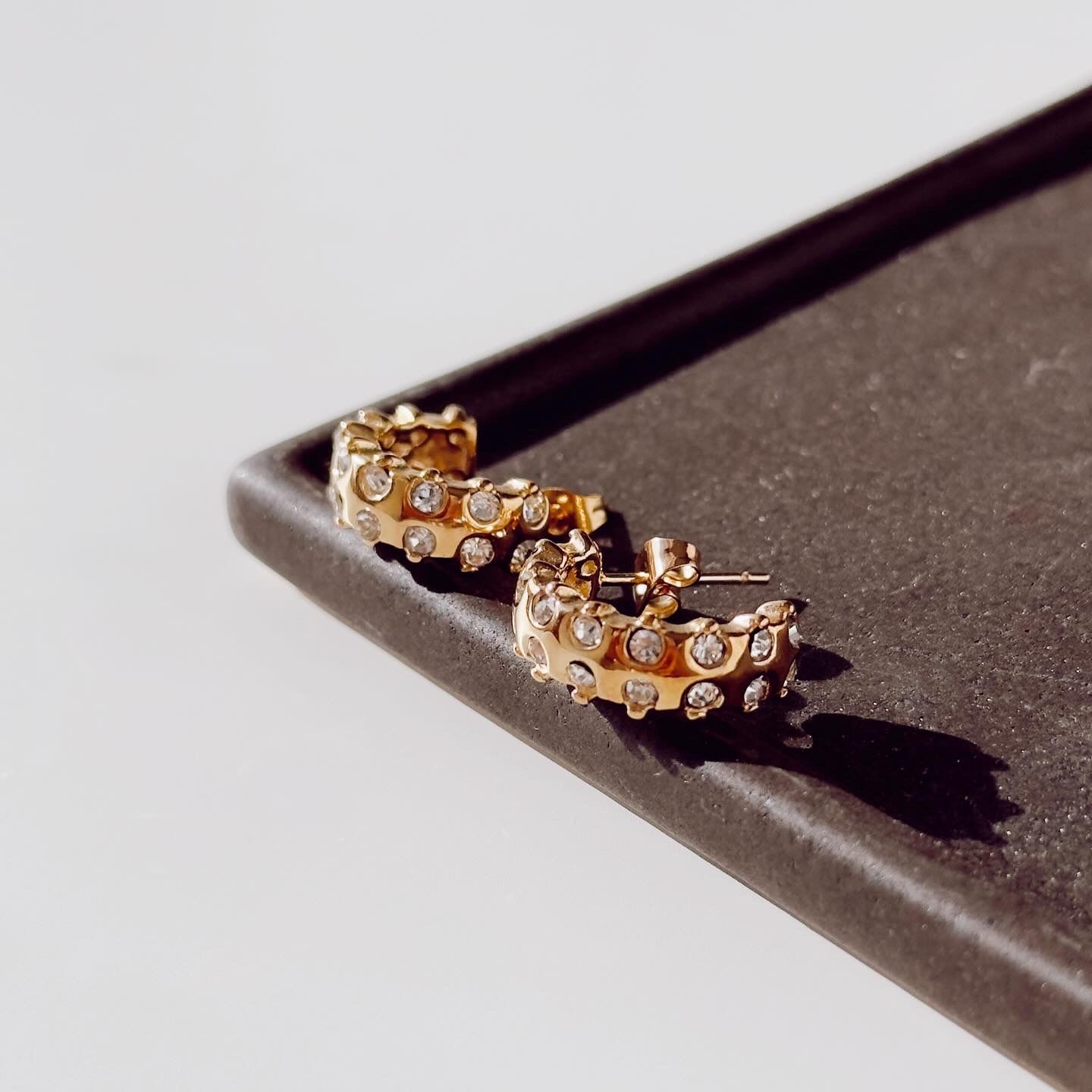 Vanessia Steel Earring | Çelik Küpe