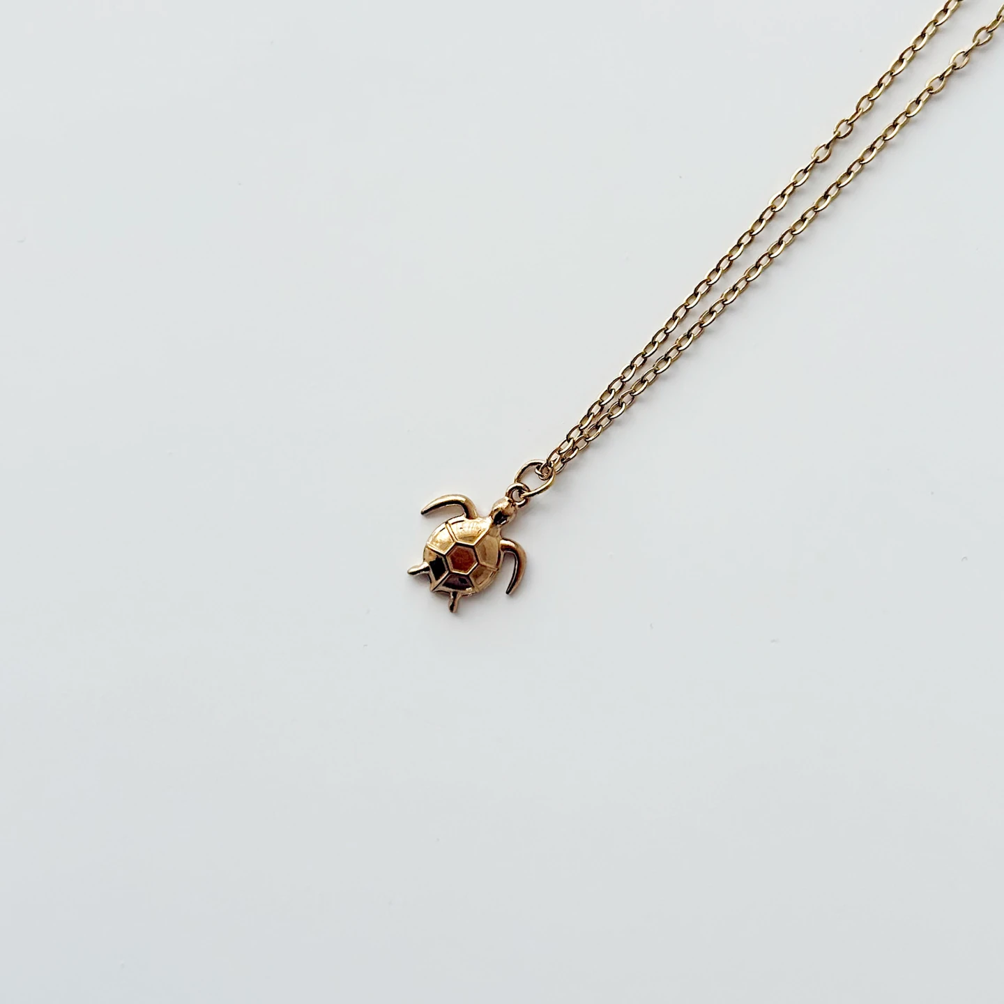 Mi Cenra Steel Necklace | Çelik Kolye