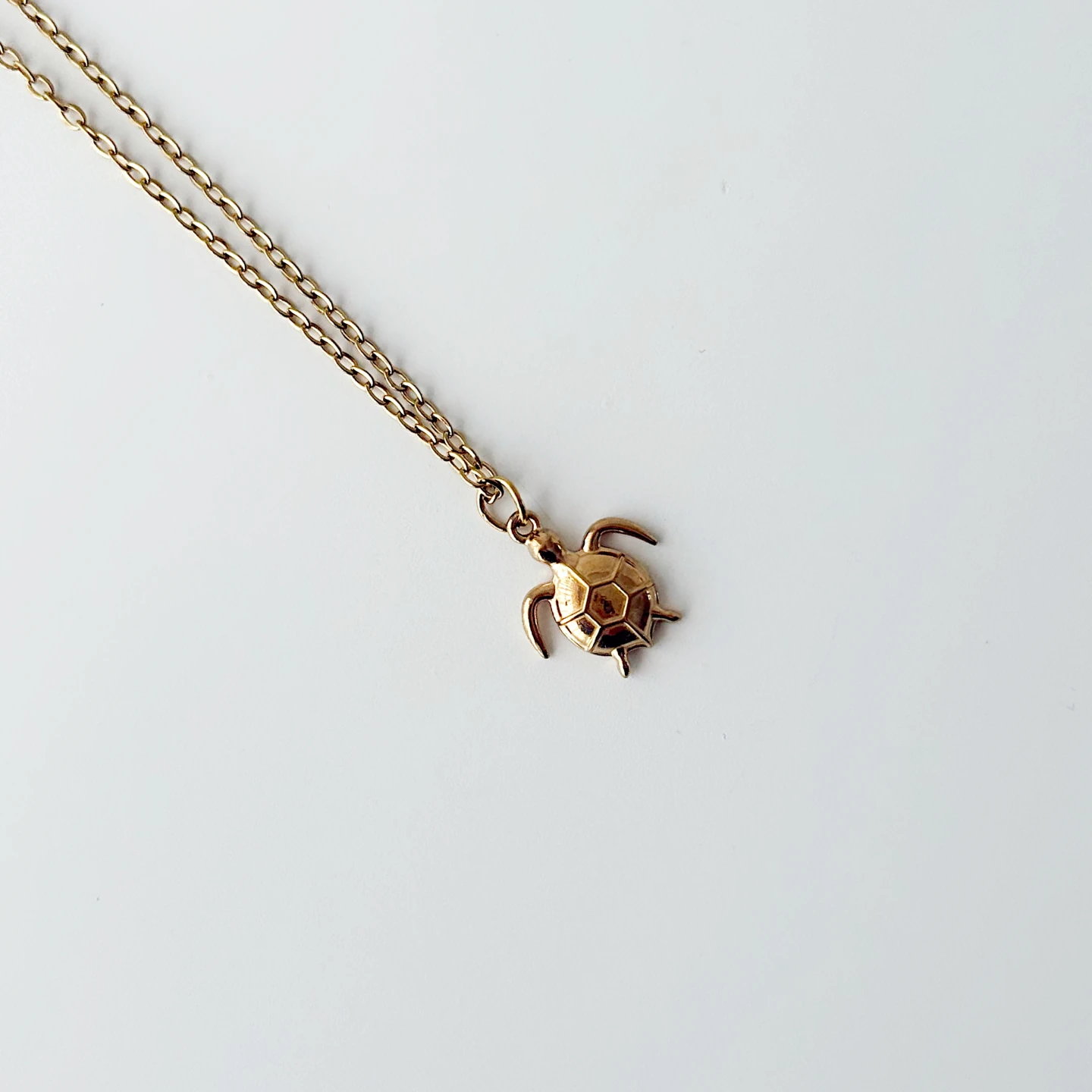 Mi Cenra Steel Necklace | Çelik Kolye