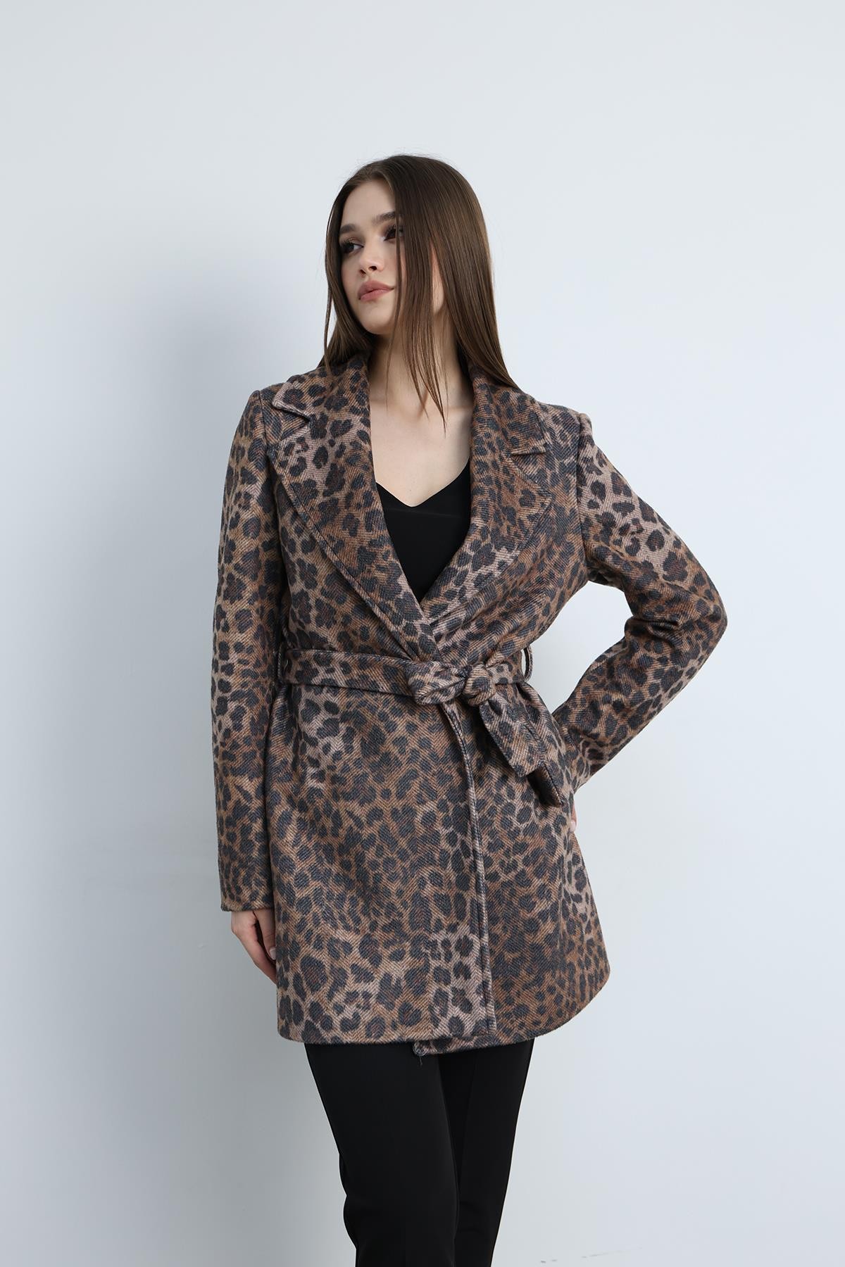 Kısa Kaban Leopar