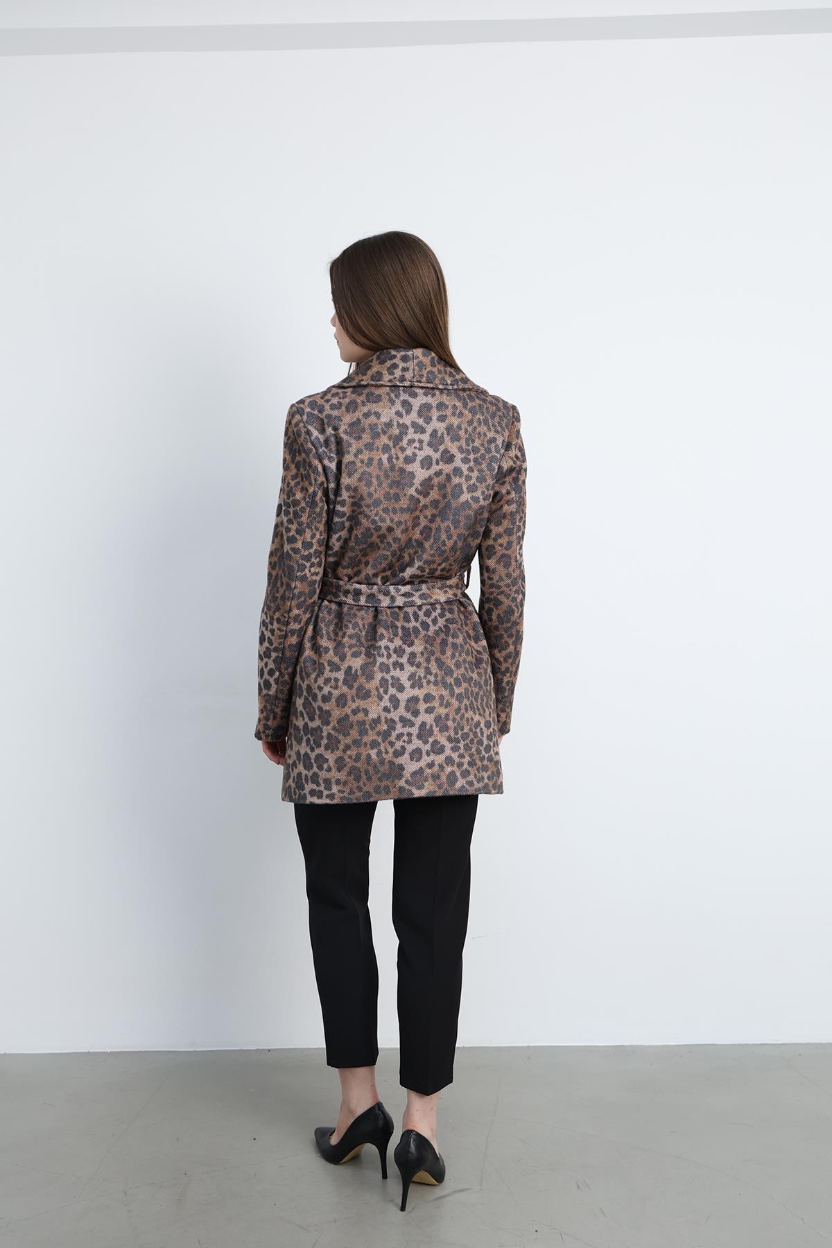 Kısa Kaban Leopar