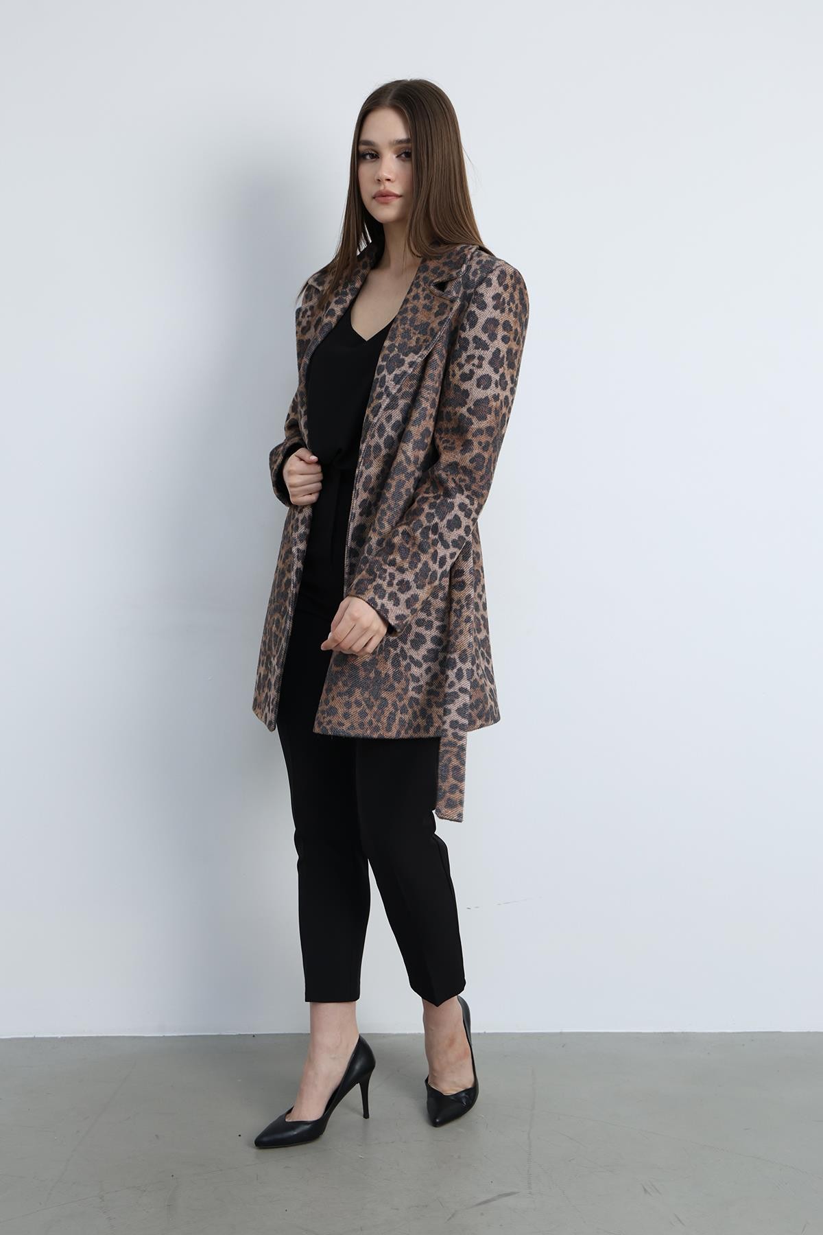 Kısa Kaban Leopar