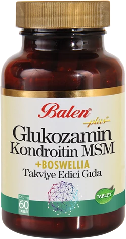 Glukozamin & Kondroitin & MSM & Boswellia (Akgünlük)