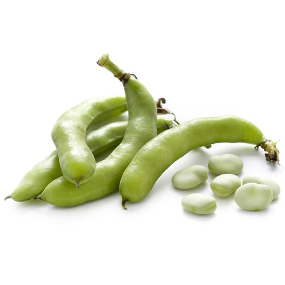 Ayıklanmamış İç Bakla 2 kg