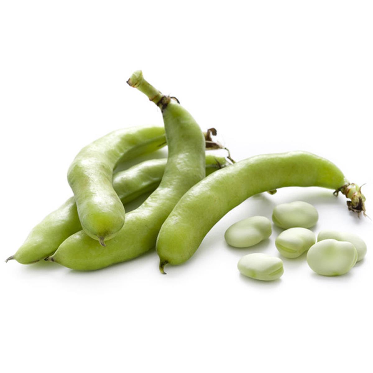 Ayıklanmamış İç Bakla 1 kg