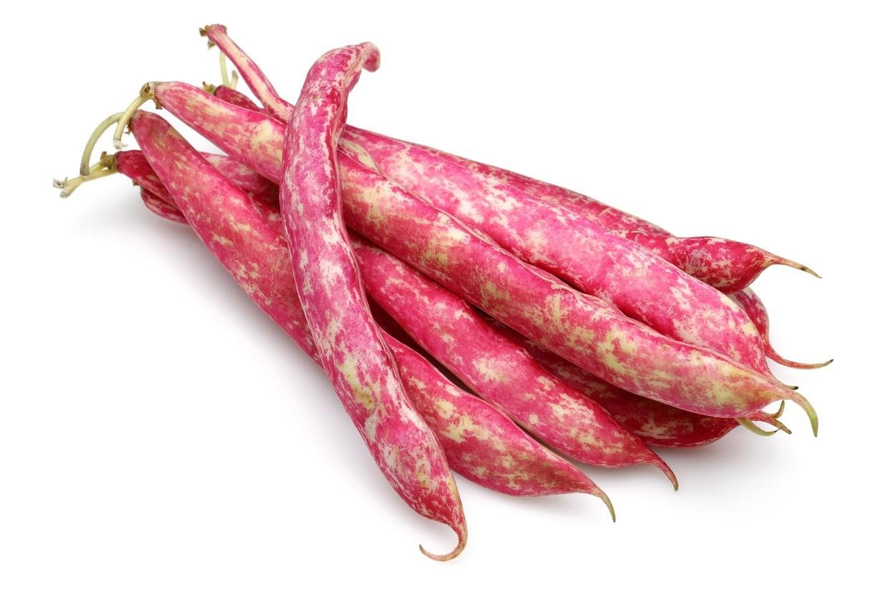 Taze Barbunya 1 kg.