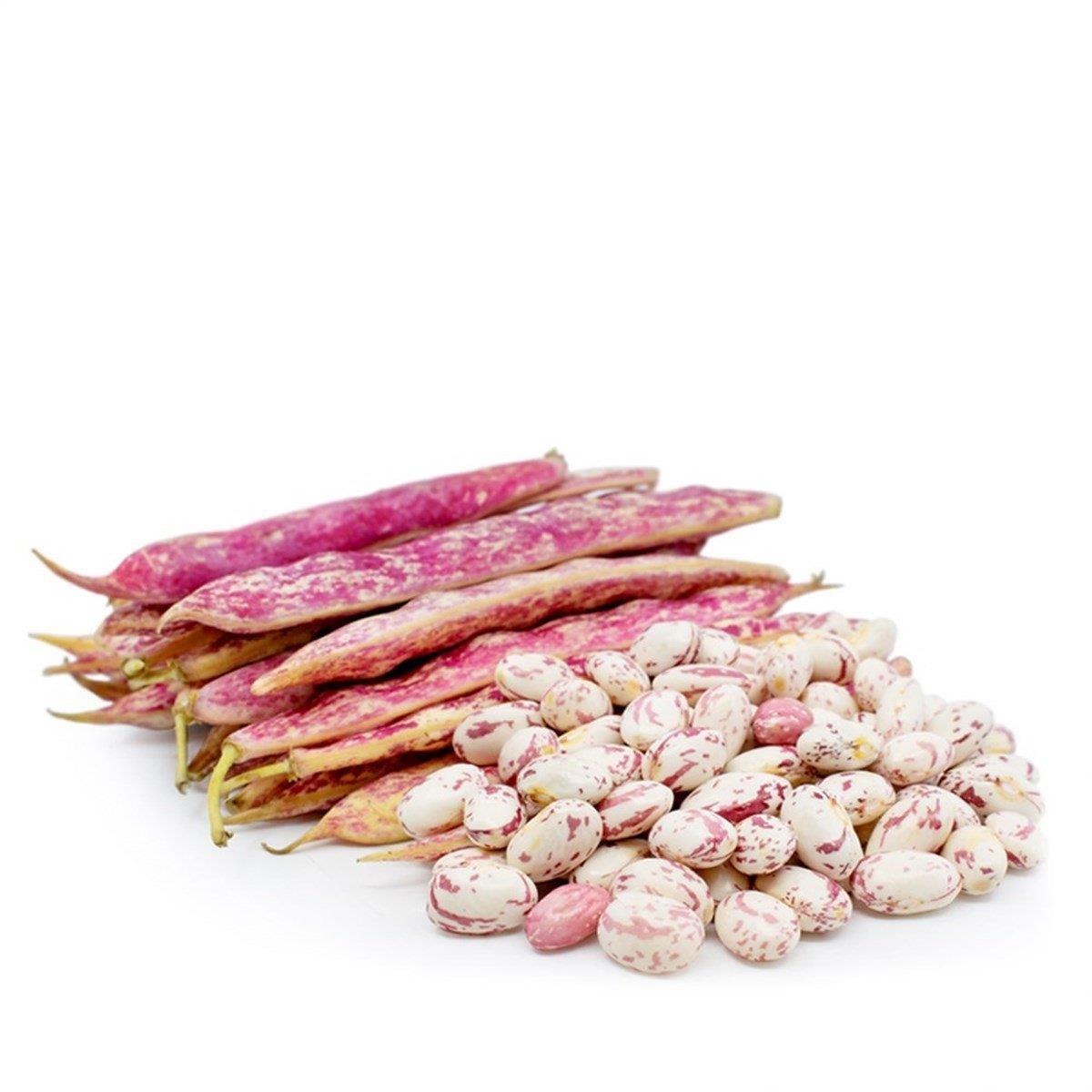 Taze İç Barbunya 1 kg.