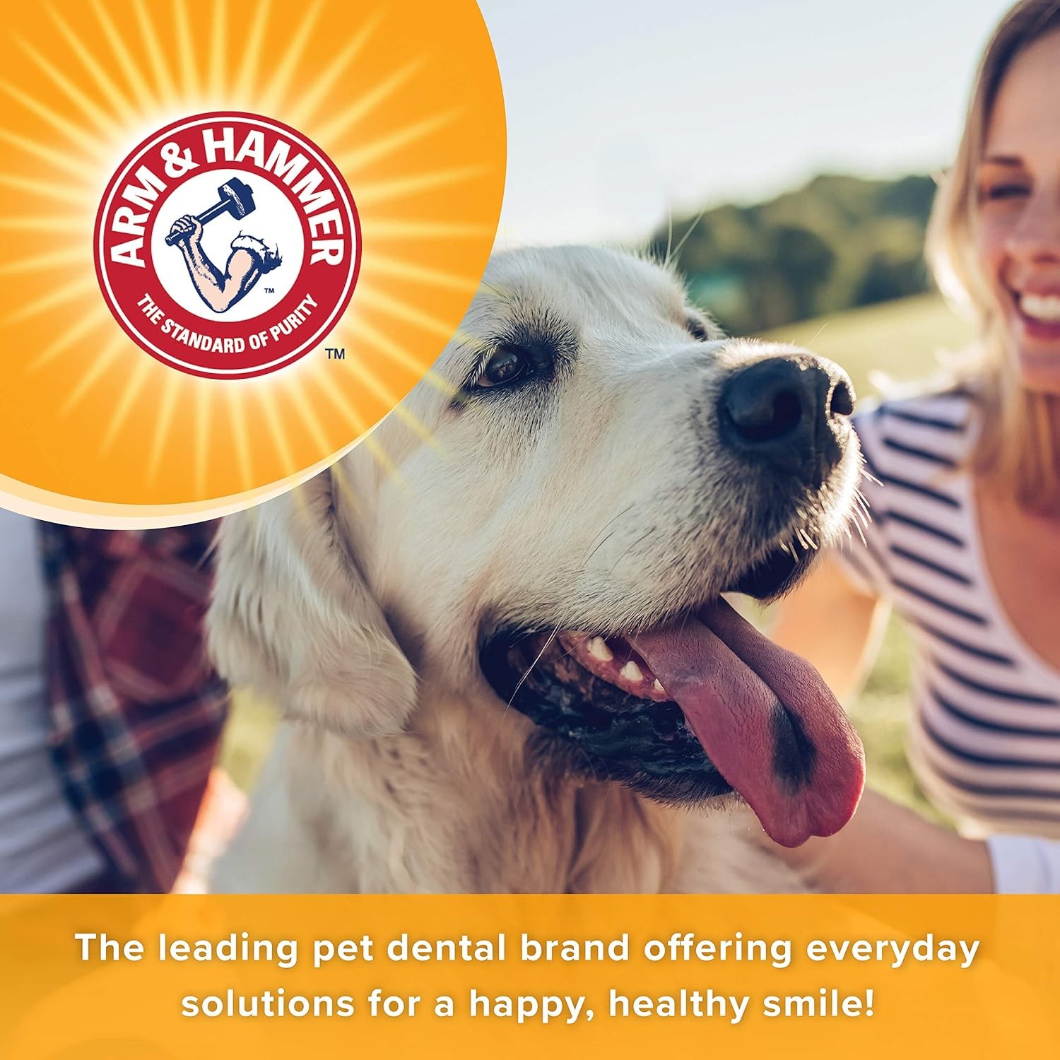 Arm&Hammer Tartar Control Enzymatic Köpek Diş Macunu Beef Flavor  67.5 gr