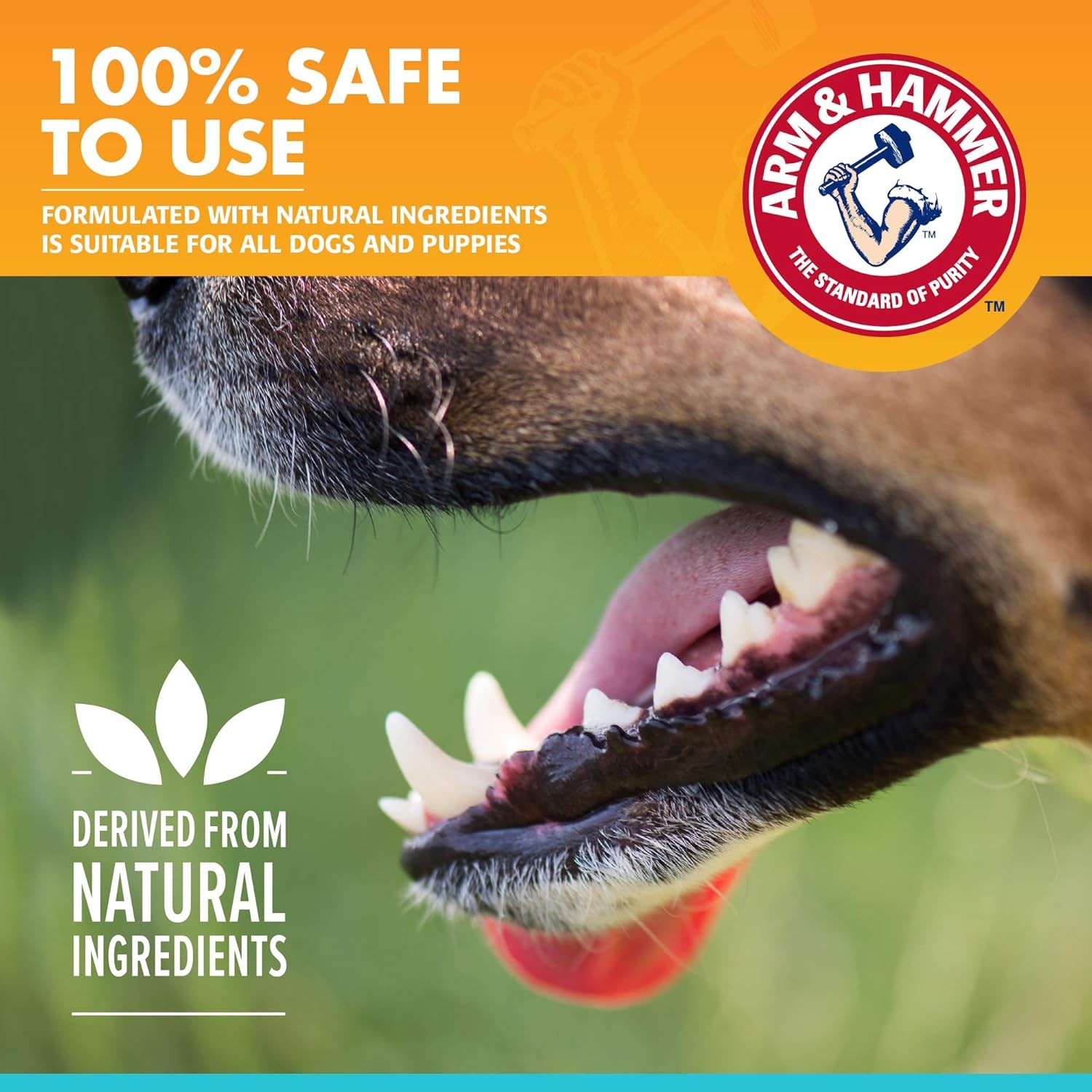 Arm&Hammer Tartar Control Enzymatic Köpek Diş Macunu Chicken   67.5 gr 