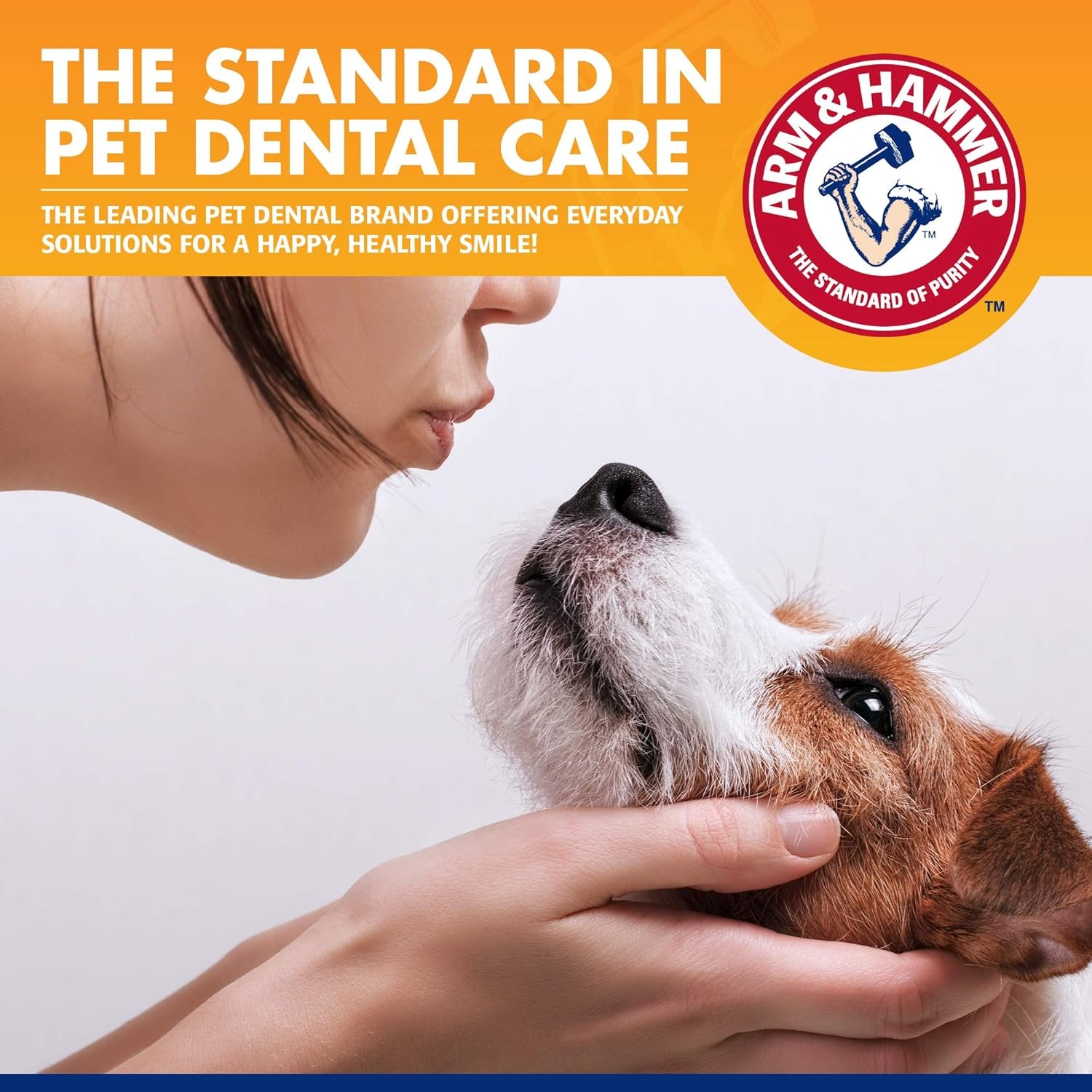 Arm&Hammer Tartar Control Enzymatic Köpek Diş Macunu Beef Flavor  67.5 gr
