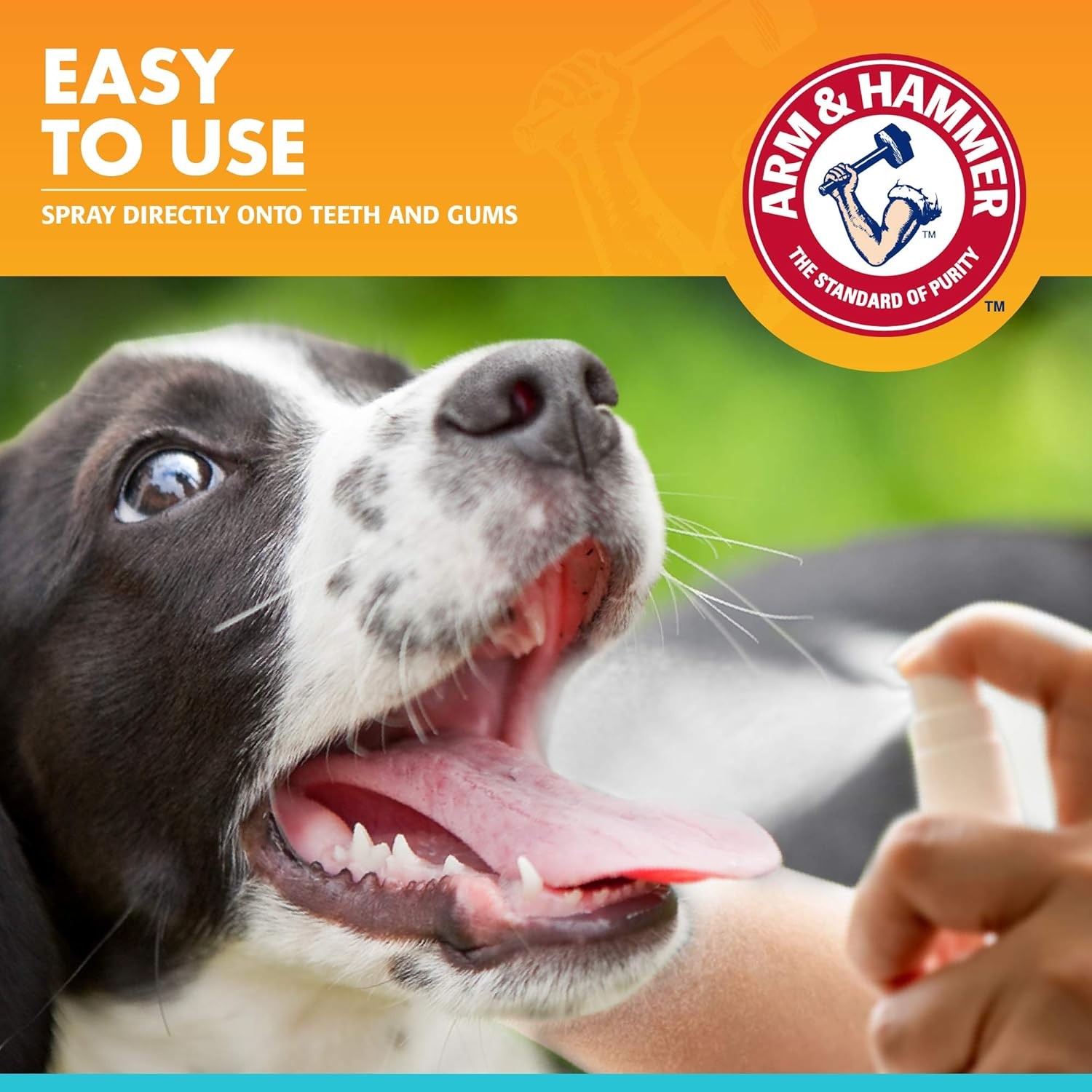 Arm&Hammer Fresh Breath Köpek Ağız Spreyi 118 ml  