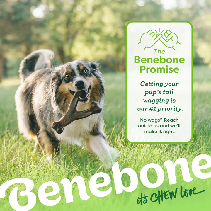 Benebone Gerçek Bacon Aromalı Köpek Çiğneme Oyuncağı Large