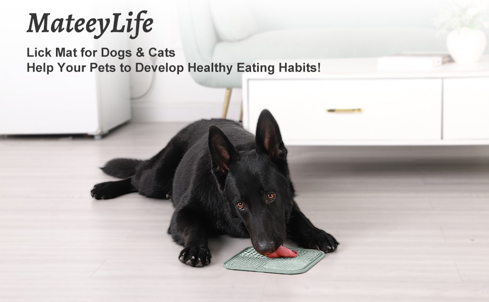 Mateeylife Kedi Köpek Yalama Matı 2'li ( Spatula ve Temizleme Fırça Hediyeli)