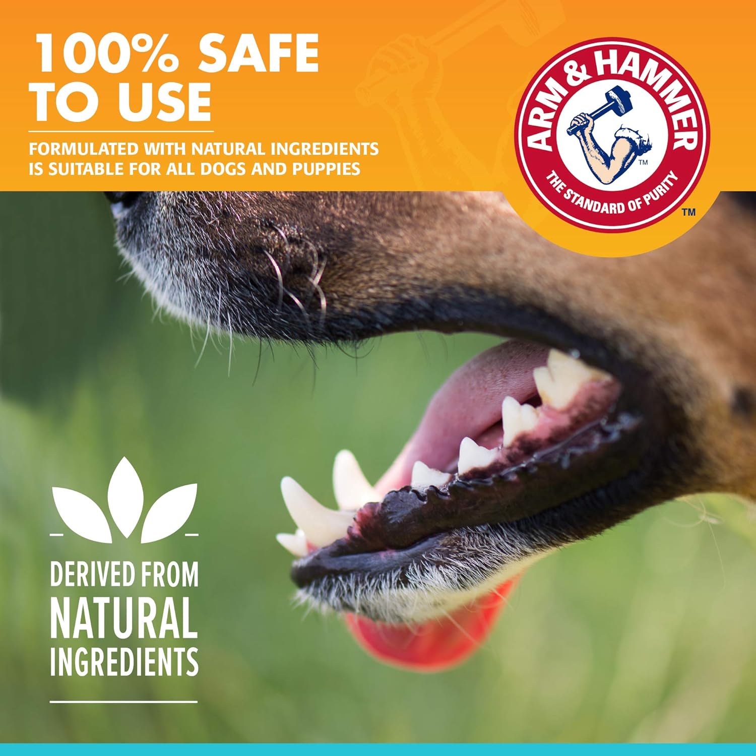 Arm&Hammer Fresh Breath Enzymatic Köpek Diş Macunu Vanilla Ginger   67.5 gr