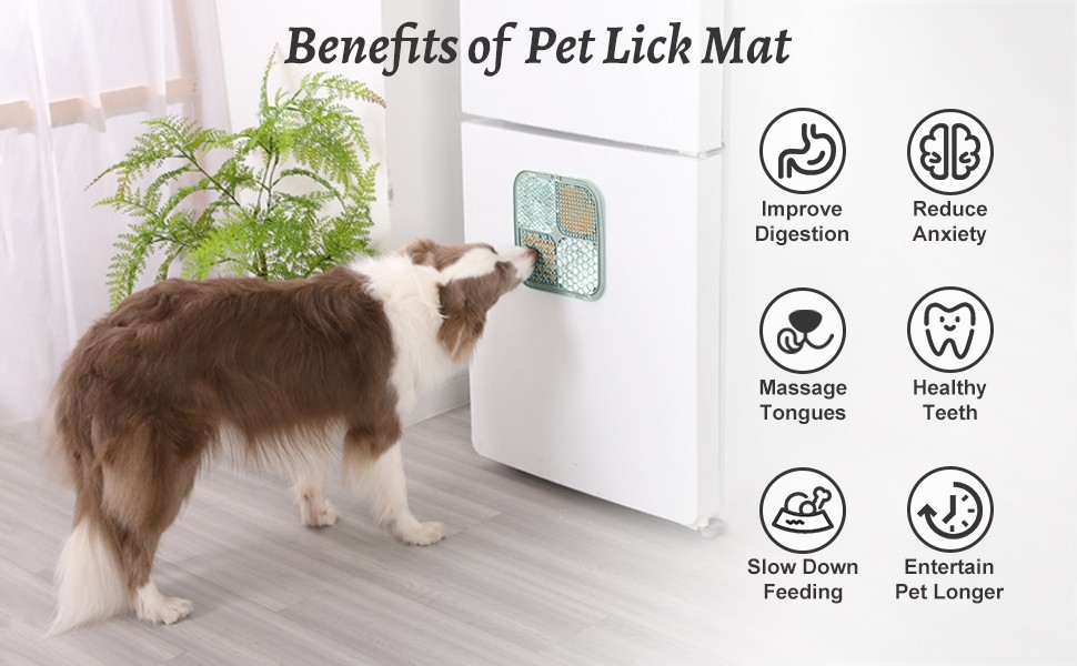 Mateeylife Kedi Köpek Yalama Matı 2'li ( Spatula ve Temizleme Fırça Hediyeli)