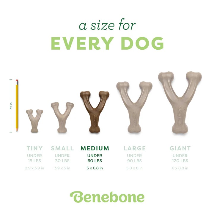 Benebone Gerçek Bacon Aromalı Köpek Çiğneme Oyuncağı Medium