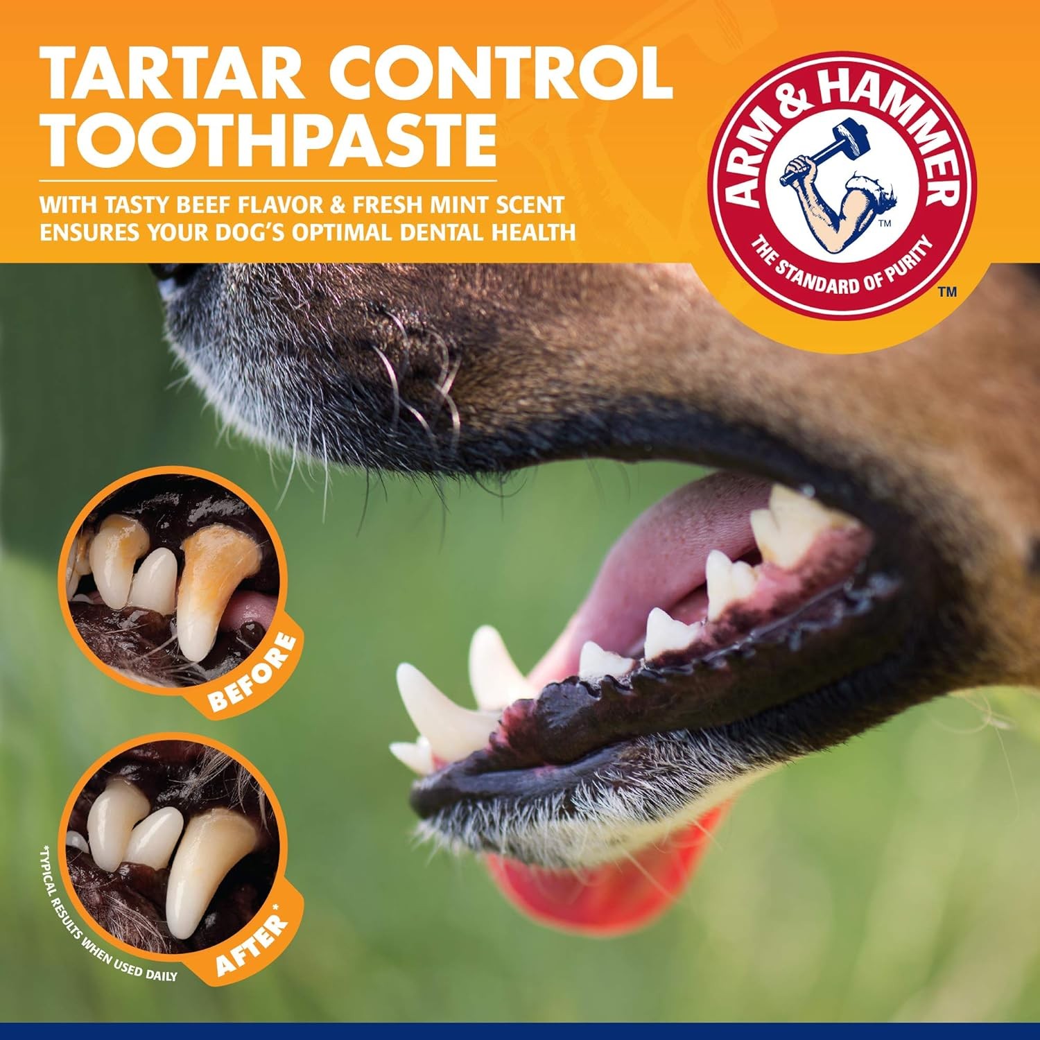 Arm&Hammer Tartar Control Enzymatic Köpek Diş Macunu Beef Flavor  67.5 gr