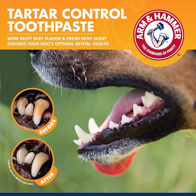 Arm&Hammer Fresh Breath Enzymatic Köpek Diş Macunu Vanilla Ginger   67.5 gr