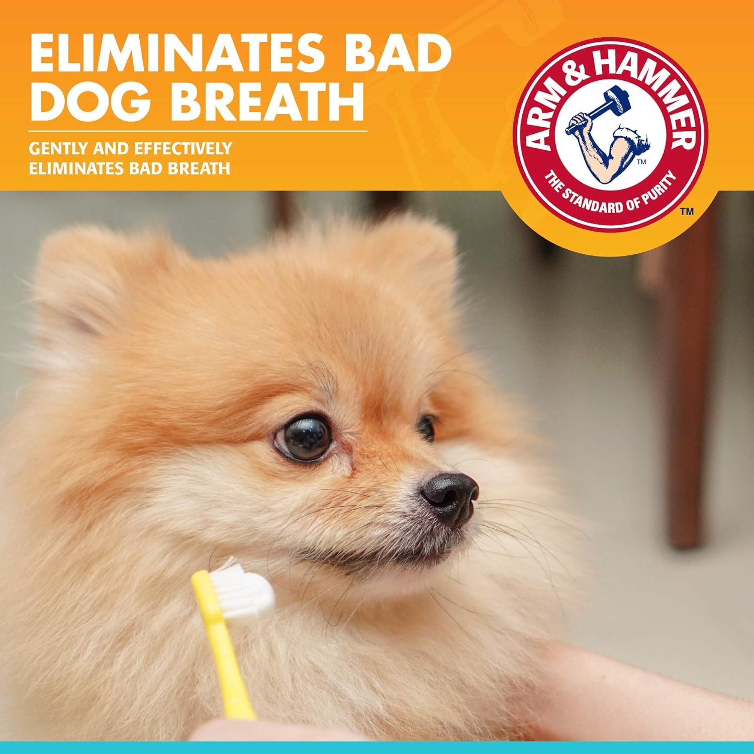 Arm&Hammer Tartar Control Enzymatic Köpek Diş Macunu Chicken   67.5 gr 