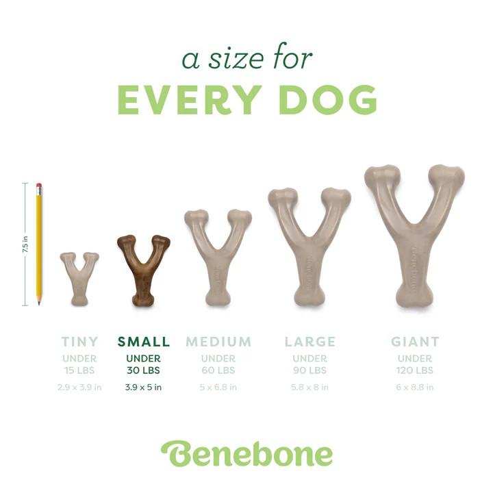 Benebone Gerçek Bacon Aromalı Köpek Çiğneme Oyuncağı Small