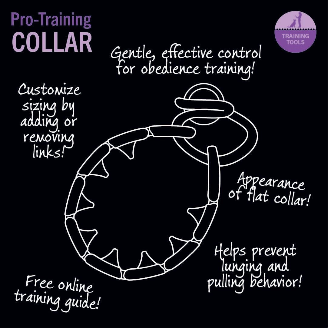 Starmark Pro Training Collar Köpek Eğitim Tasması Large