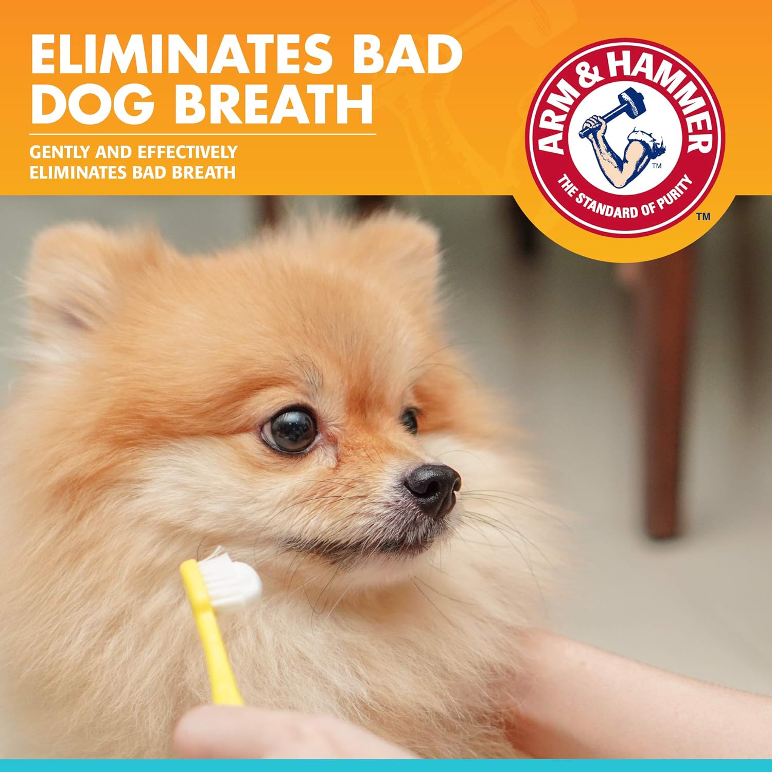 Arm&Hammer Fresh Breath Enzymatic Köpek Diş Macunu Vanilla Ginger   67.5 gr