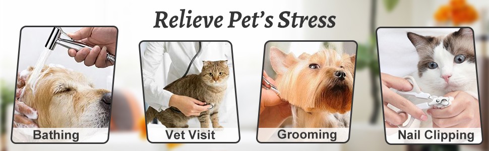 Mateeylife Kedi Köpek Yalama Matı 2'li ( Spatula ve Temizleme Fırça Hediyeli)