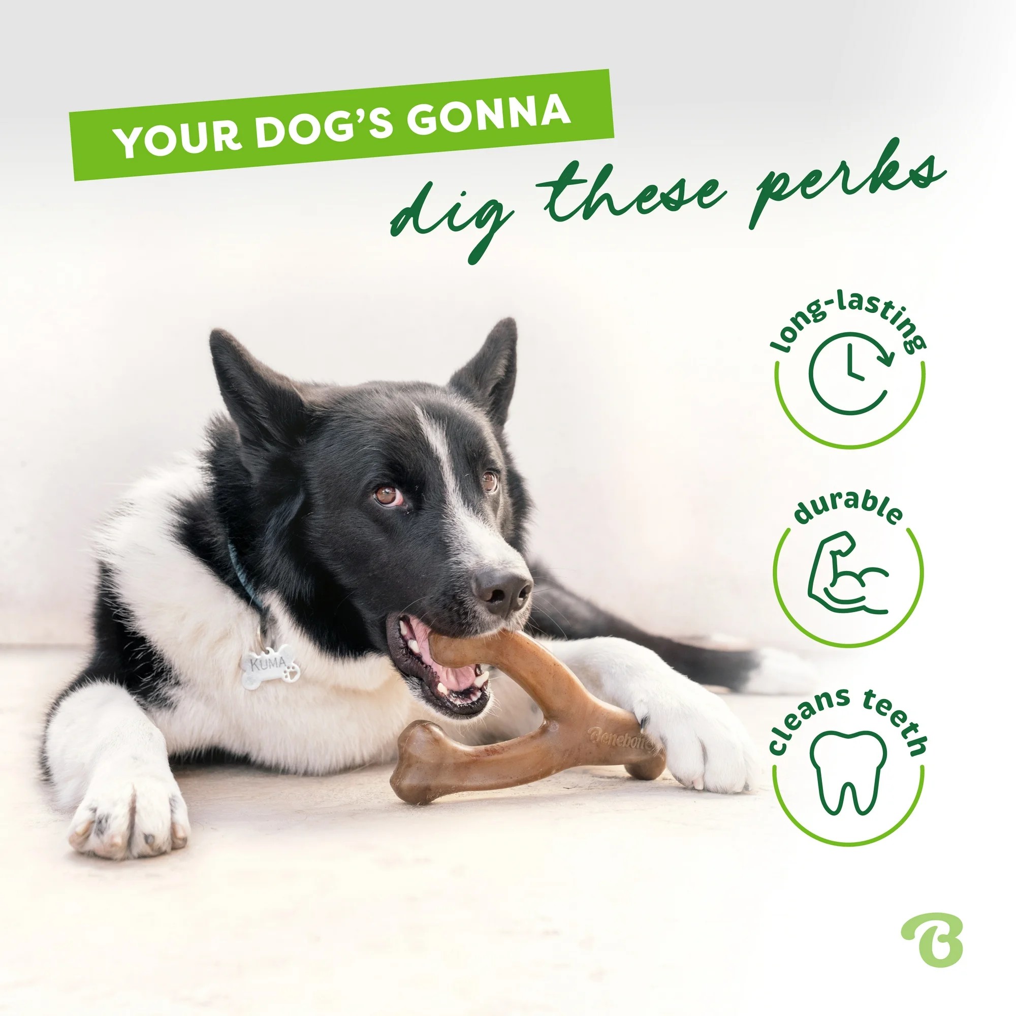 Benebone Gerçek Bacon Aromalı Köpek Çiğneme Oyuncağı Small