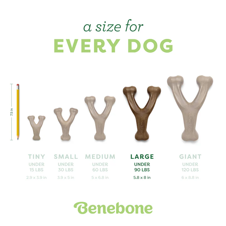 Benebone Gerçek Bacon Aromalı Köpek Çiğneme Oyuncağı Large