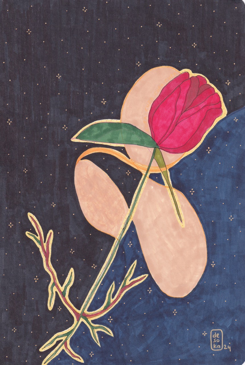 Orijinal ⊹ Rosa Cura