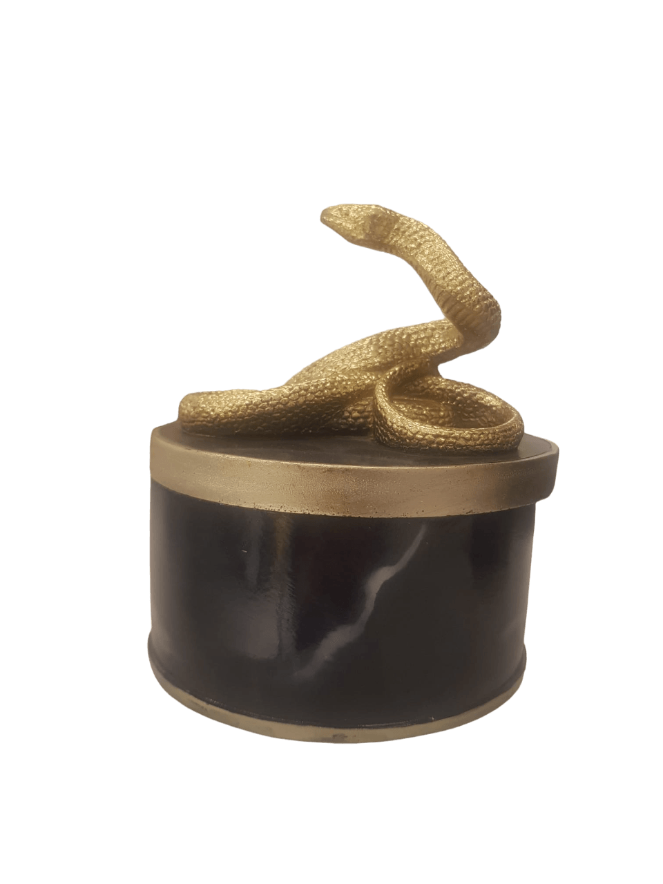 GOLD YILANLI SİYAH RESİN KUTU 13.15 CM