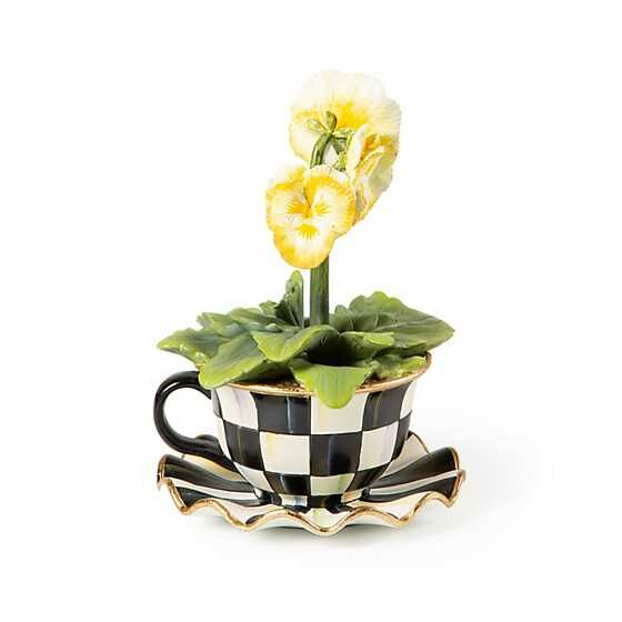 TEACUP PANSY