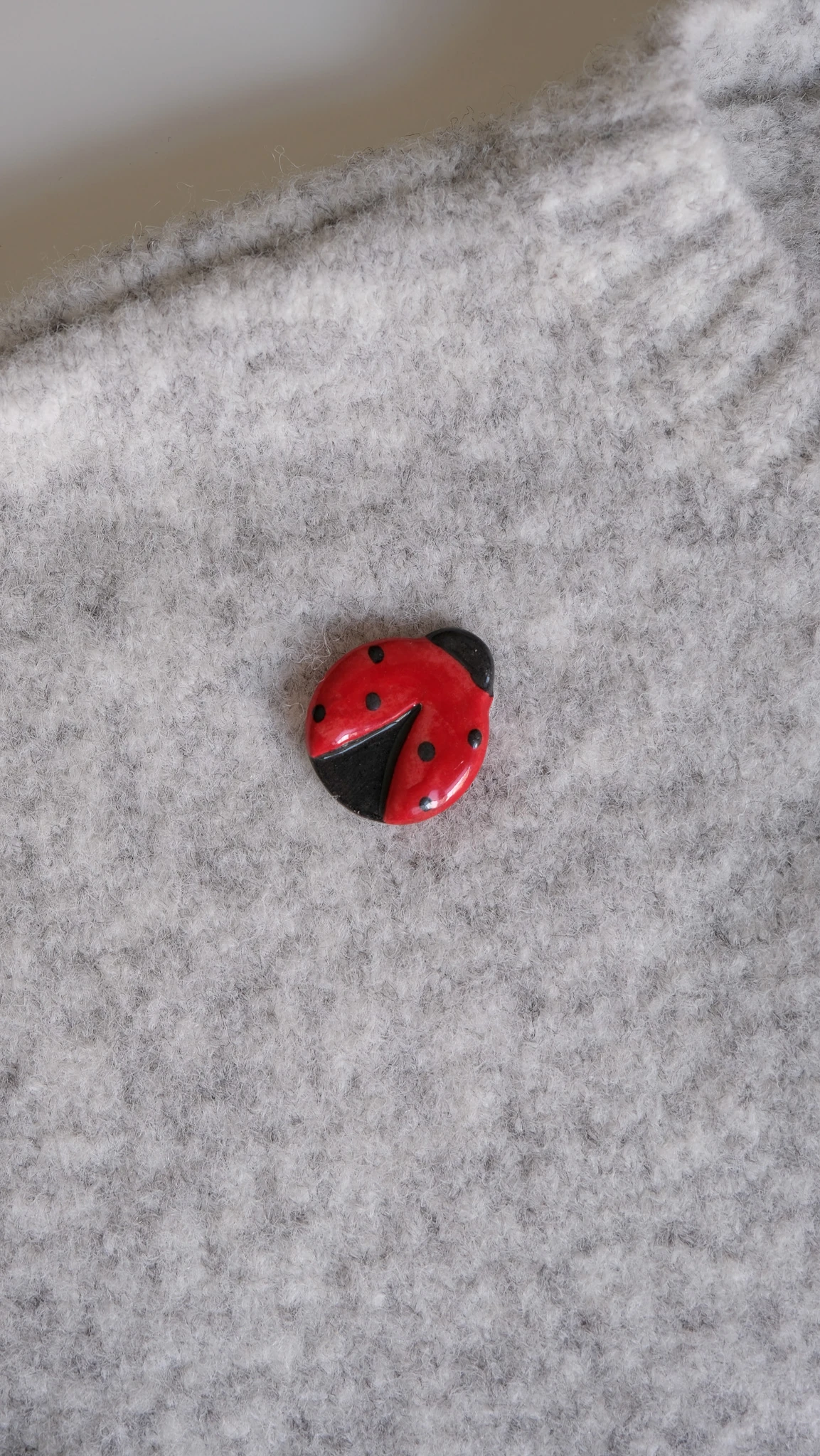 Uğur Böceği Broş