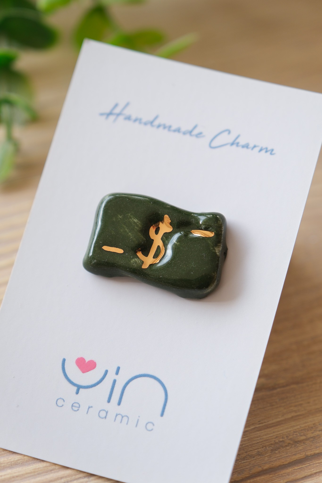 Para Charm