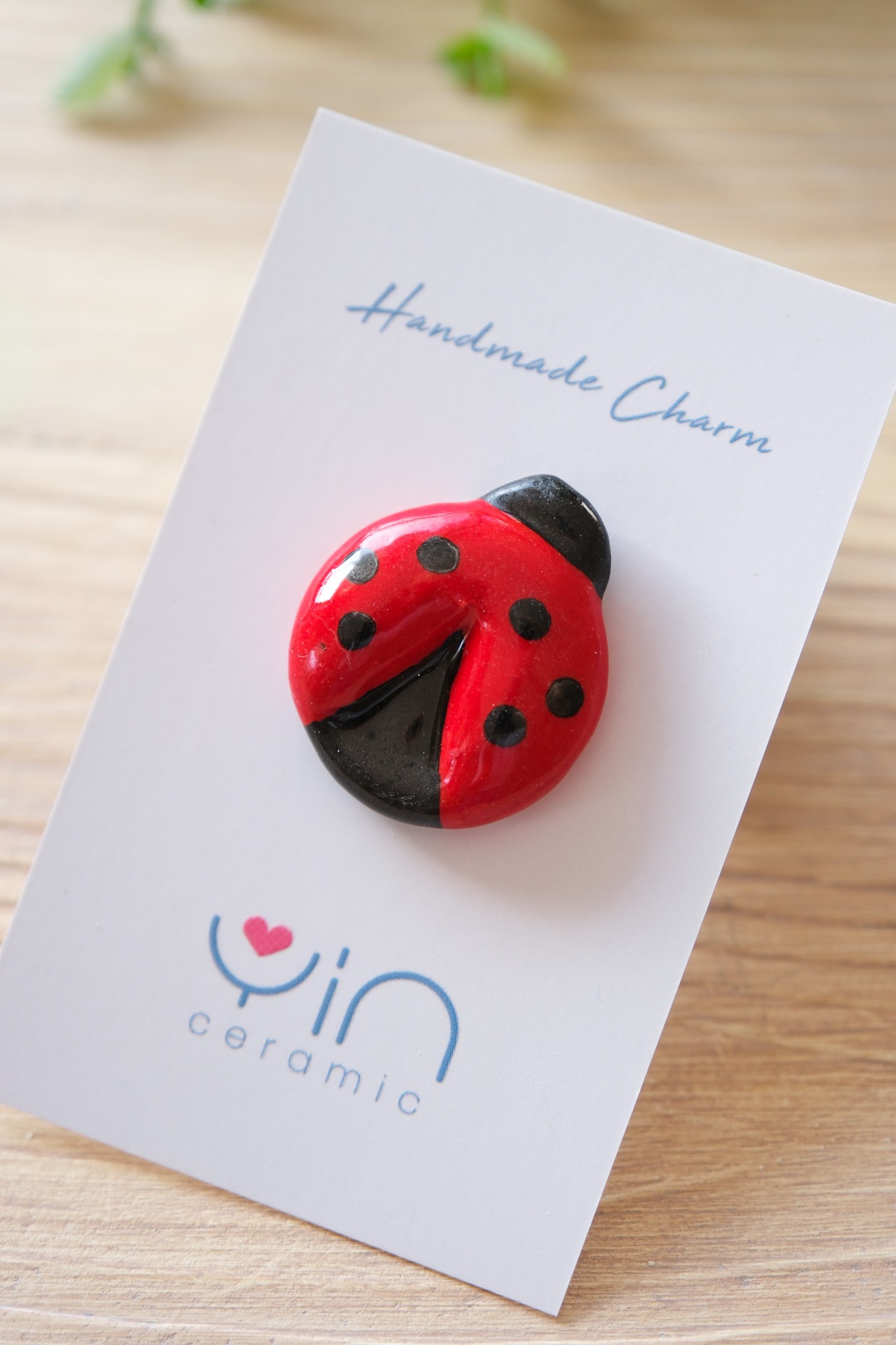 Uğur Böceği Charm