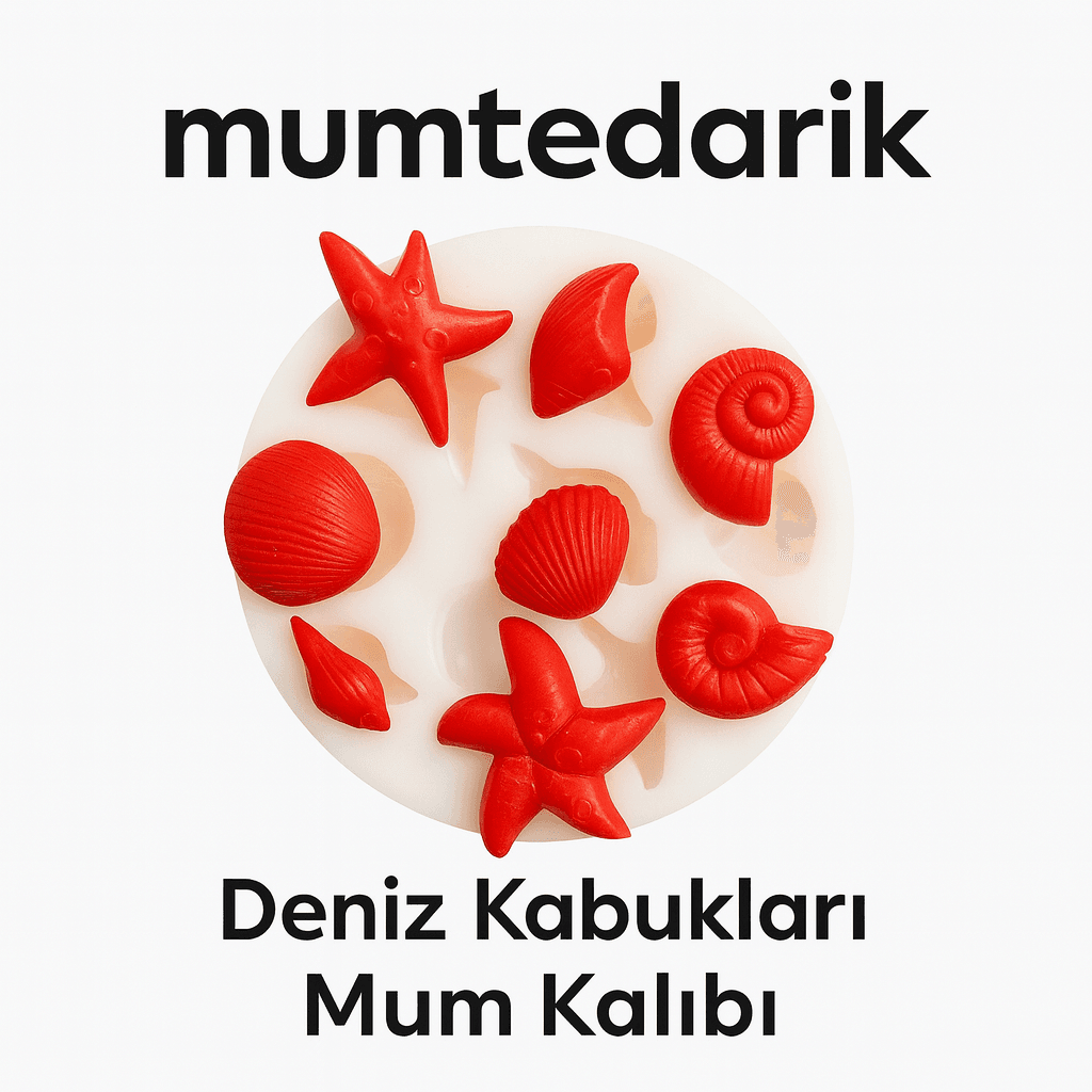Deniz Kabukları Mum Kalıbı  MT302