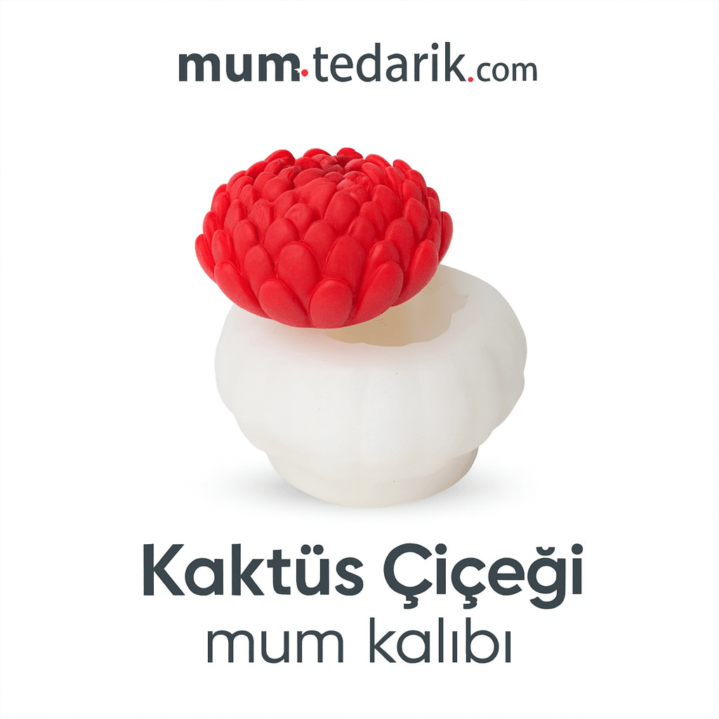 Kaktüs Çiçeği Mum Kalıbı MT498