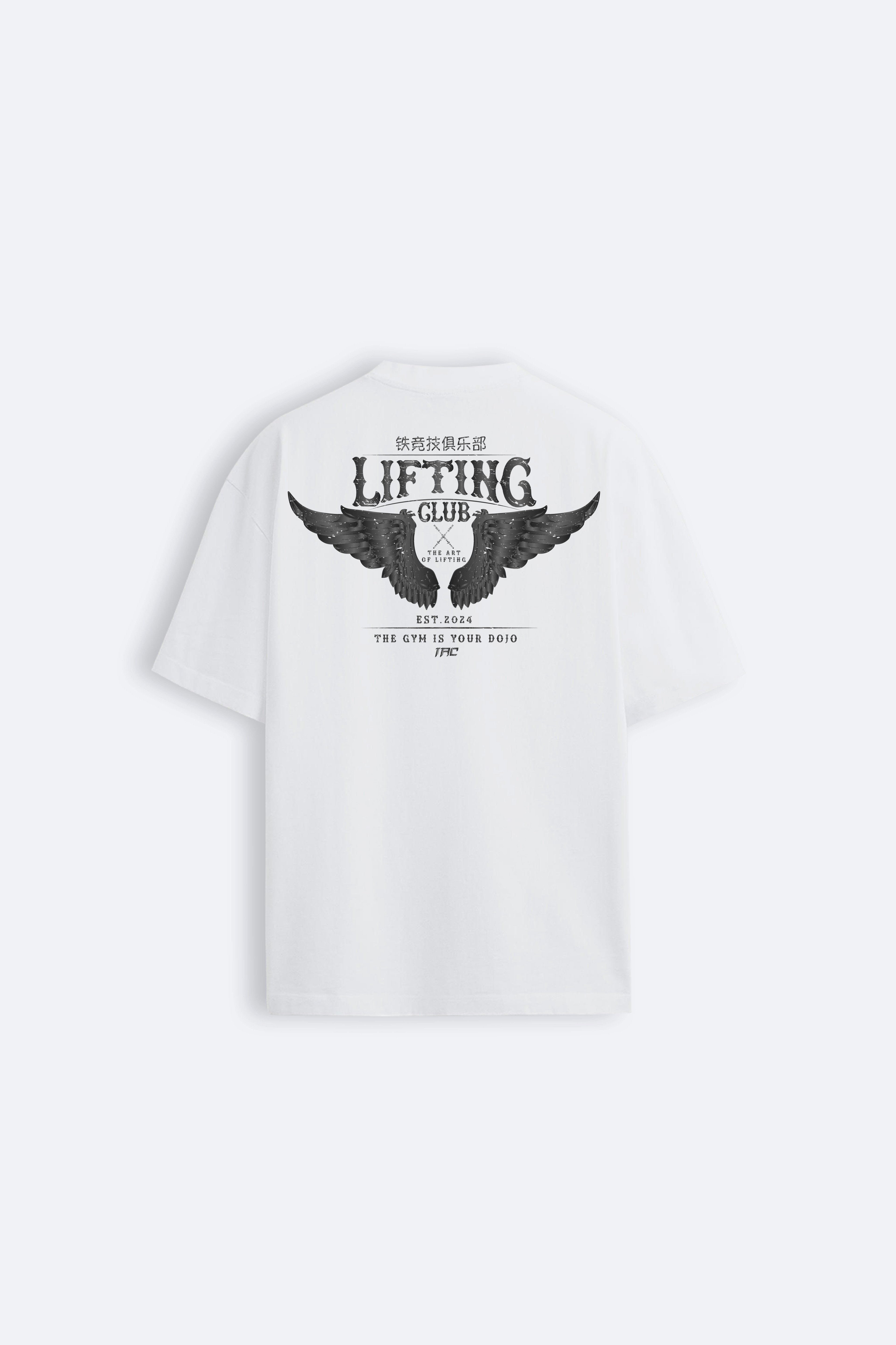 Iron Wings Oversize T-shirt - Ekru