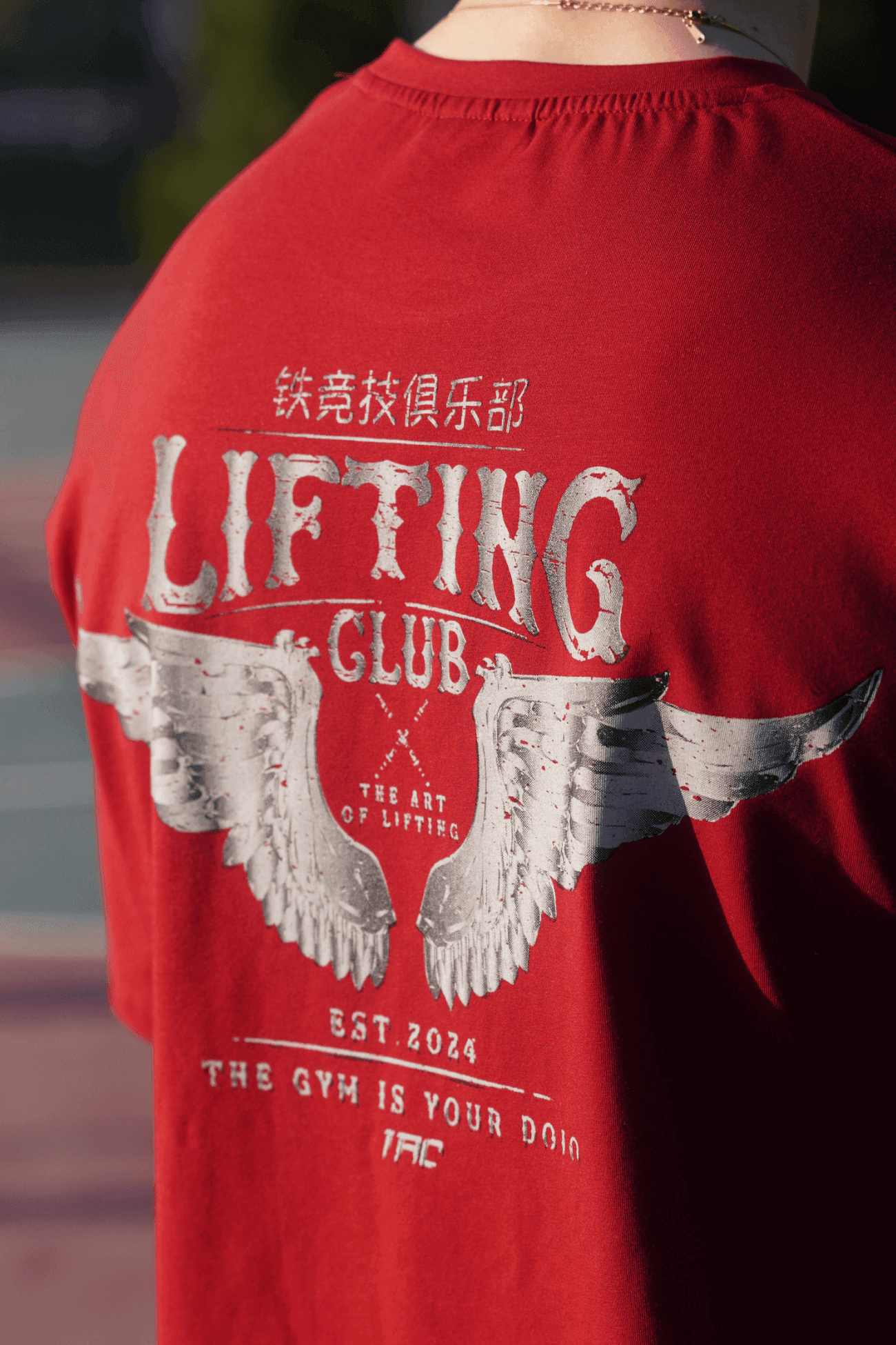 Iron Wings Oversize T-shirt - Bordo