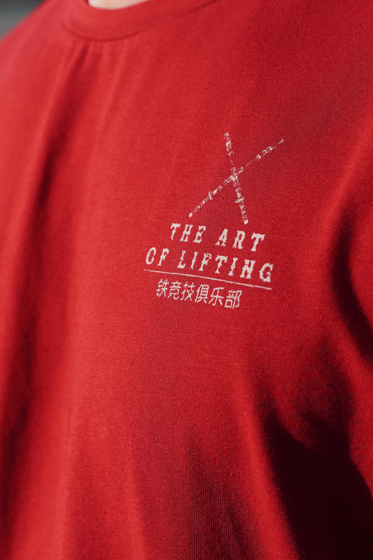 Iron Wings Oversize T-shirt - Bordo